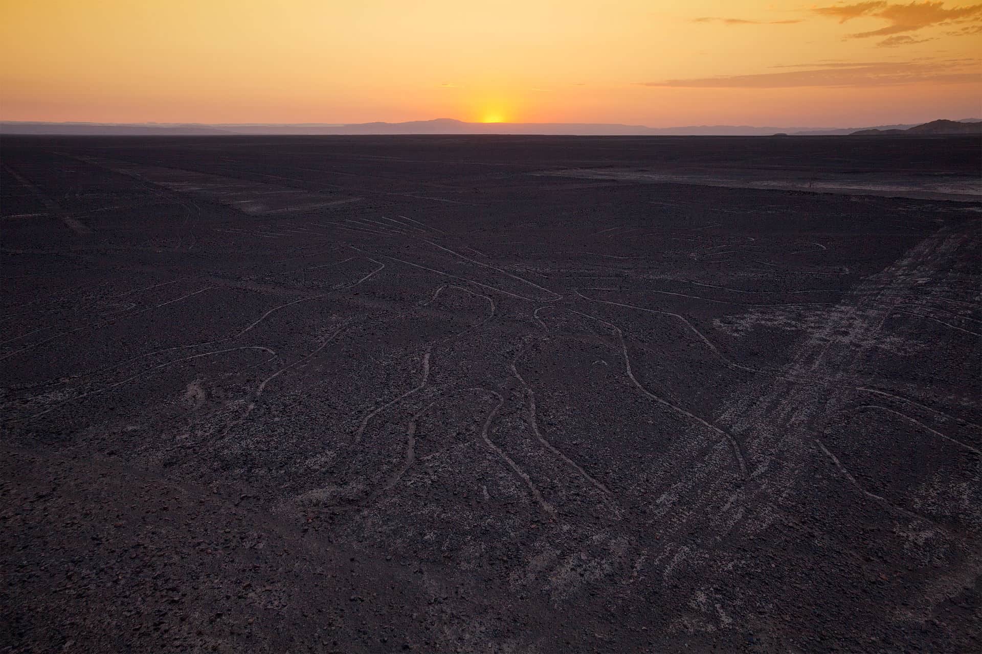 Nazca lines, tree (seen from the observation tower). Image Credit: Wikimedia Commons