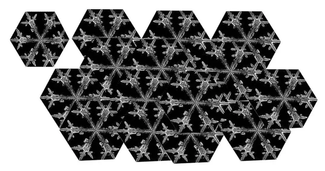 lrg-1131-wafflerock-electromagnetic-fieldpatterns-snowflakes-combo-6