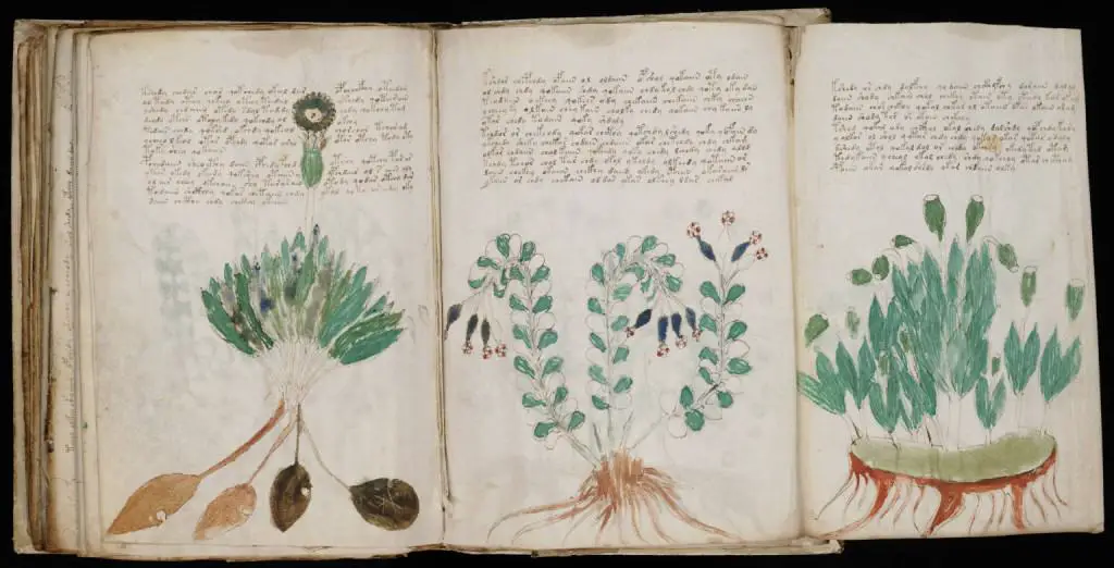 03 voynich manuscript