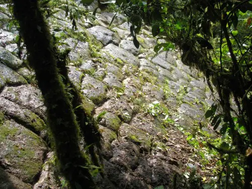 Pyramid-x - What happened to the long-lost “City of Giants” hidden deep within Ecuador’s Amazon?