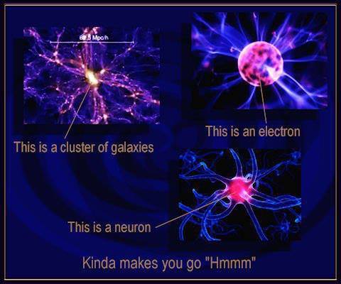brain-neurons