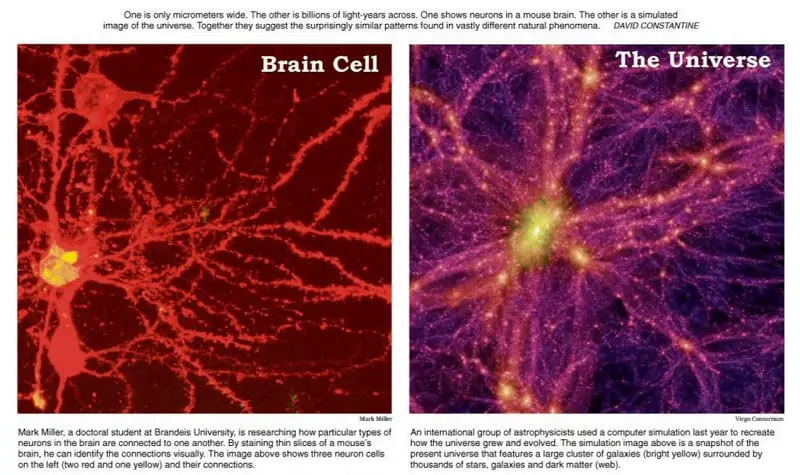 universe brain