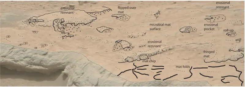 Overlay of sketch on photograph from above to assist in the identification of the structures on the rock bed surface. Image credit: Noffke (2015). Courtesy of ASTROBIOLOGY, published by Mary Ann Liebert, Inc. 