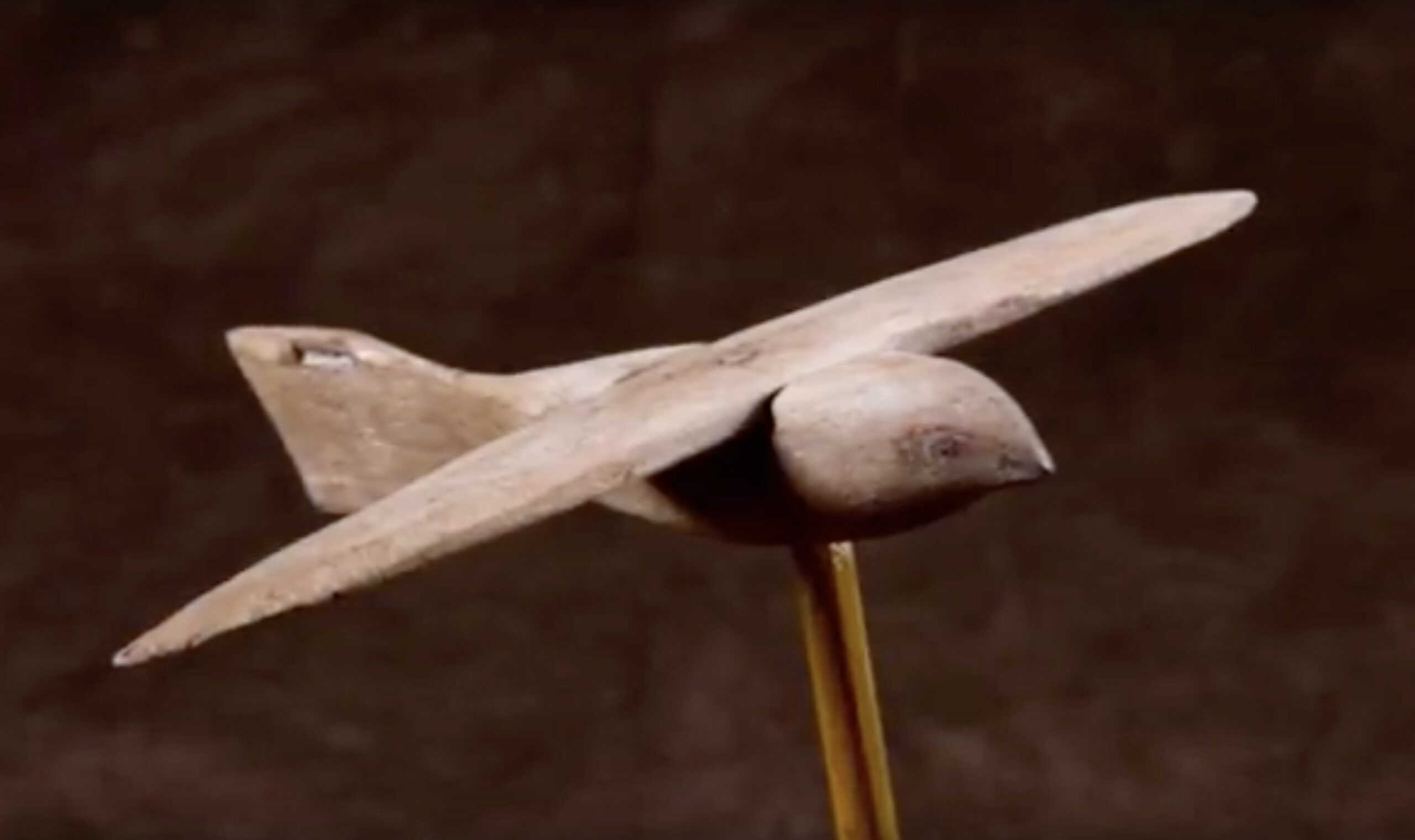 Screen-Shot----at-..-PM-scaled - The mysteries of Ancient Egypt’s Saqqara Bird