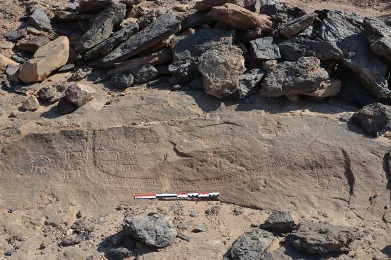 Incredible inscriptions found at Wadi-Ameyra rewrite Early Ancient Egyptian history. Credit: Courtesy Pierre Tallet