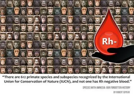 n - Blood type Rh negative and Alien DNA: An otherworldly lineage of a species with amnesia?