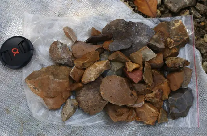 These stone artifacts were found scattered on a gravelly surface near Talepu. 