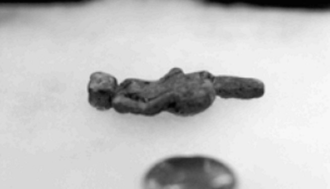 The Nampa Figure: a 2 million-year-old artifact?