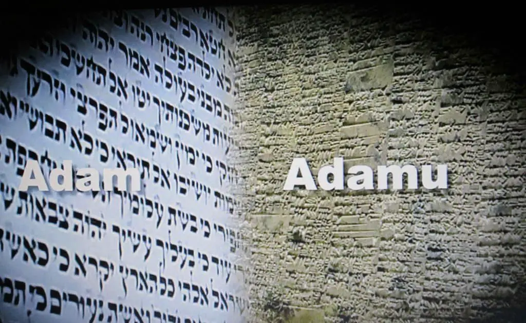 adam_sumerian_akkadian_babylonian_adamu_adapa_by_stevenely-d5tmjlh