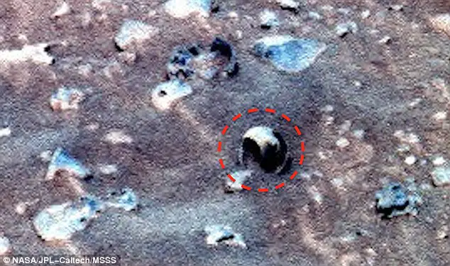 Evidence of life on Mars? Fossilized creatures spotted on Red Planet