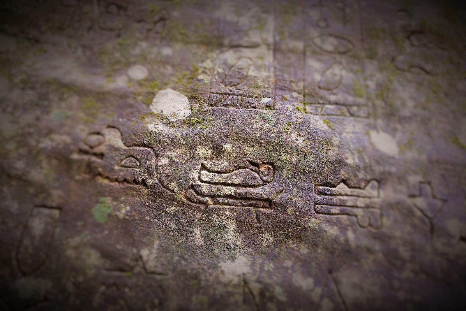 Gosford-Glyphs-shattering-mainstream-history - What are 5,000-year-old Egyptian Hieroglyphs doing in Australia?
