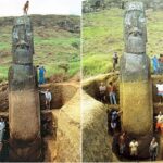 Easter Island Statues have MASSIVE Bodies