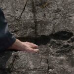 Giant footprint discovered in China