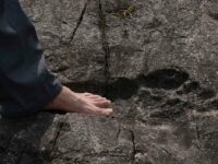 Giant footprint discovered in China