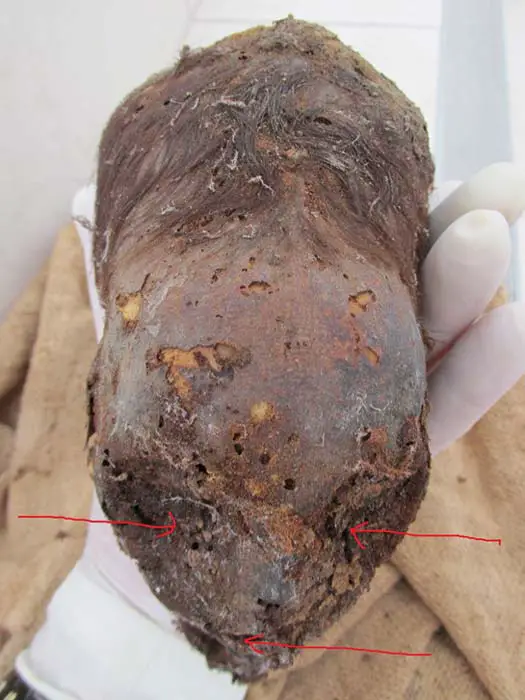 mummified elongated head