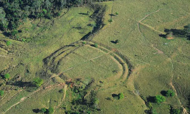 Amazon - Traces of a lost civilization? Researchers find hundreds of mysterious structures in the Amazon