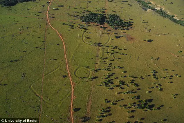 amazon-structures - Traces of a lost civilization? Researchers find hundreds of mysterious structures in the Amazon