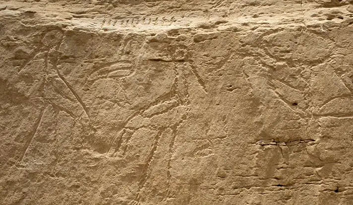 massive Ancient Egyptian Hieroglyphs could rewrite history