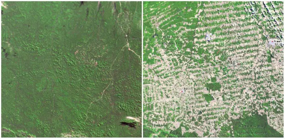 brasil-deforestation - 15 disturbing images of planet Earth that will leave you speechless