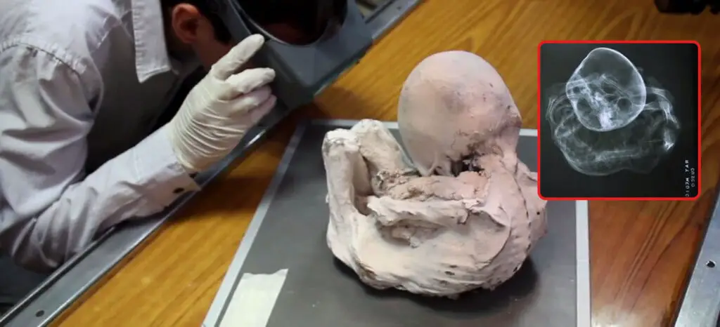 Alien mummy in Peru