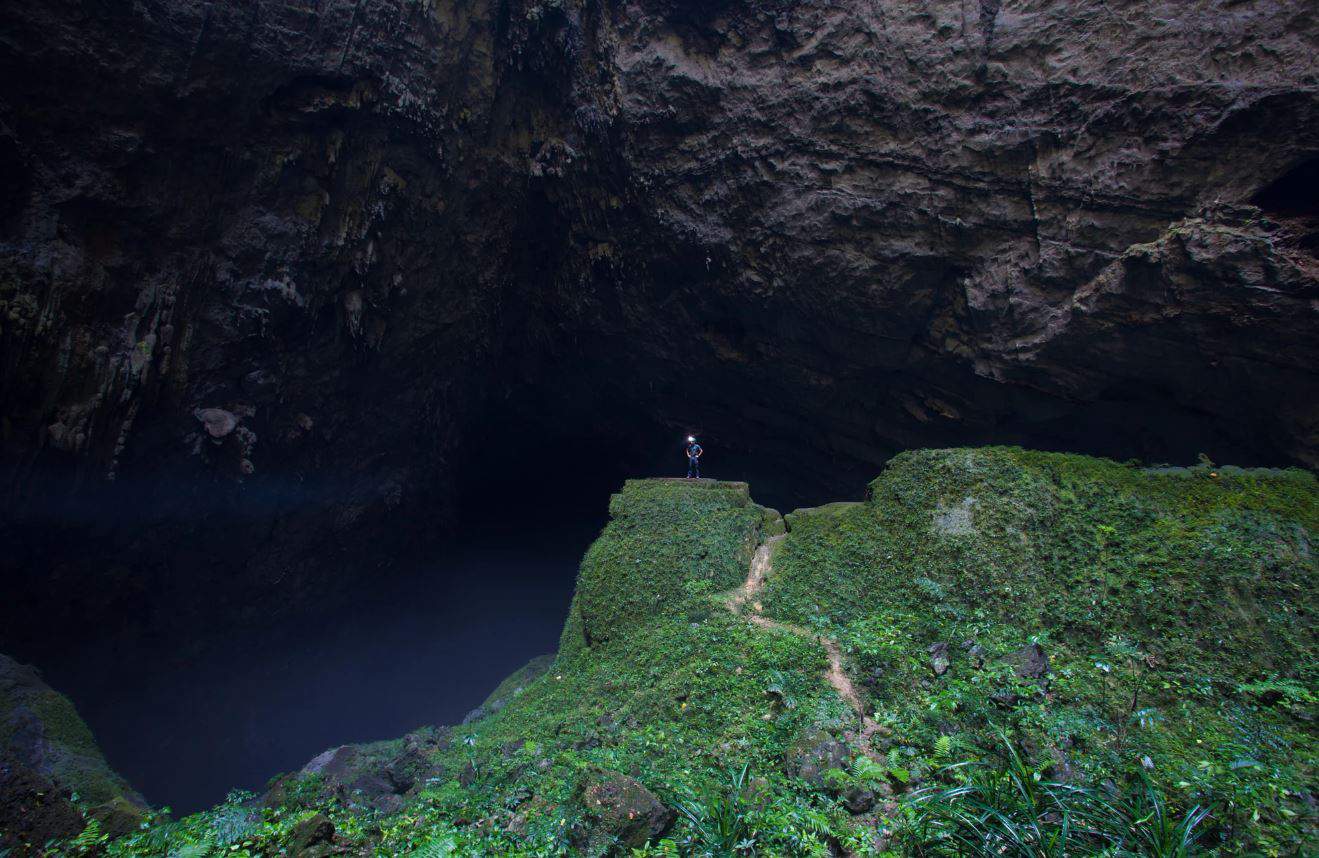 Hang-Son-Doong-Vietnam.-Underground-low-light-plants-thrive--meters-beneath-a-giant-sky-hole-in-the-worlds-biggest-cave. - A ‘Hidden portal’ to another world—a ‘Secret’ underground Cave in Vietnam