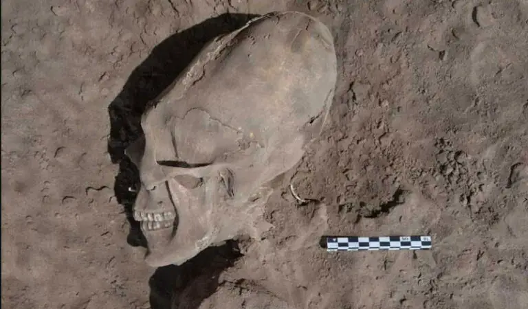13 bizarre ‘Alien-like’ elongated skulls unearthed in Mexico