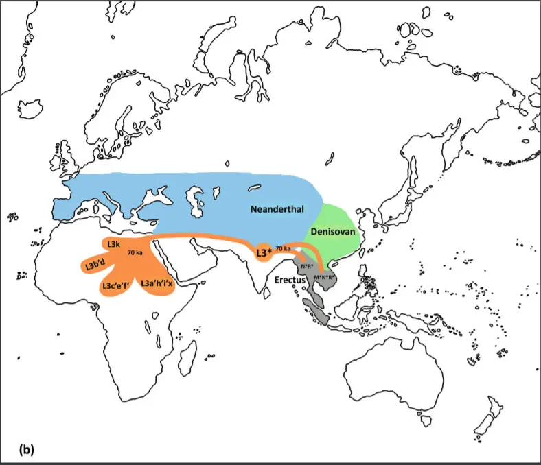 Map showing potential archaic hominin territories and possible directions of gene flow for the basal mtDNA haplogroups. This would reflect migratory movement during the post-Toba climate event in Eurasia, several millennia prior to the repopulating of the continent 60Kya. (Image credit: Cabrera et al. 2017)