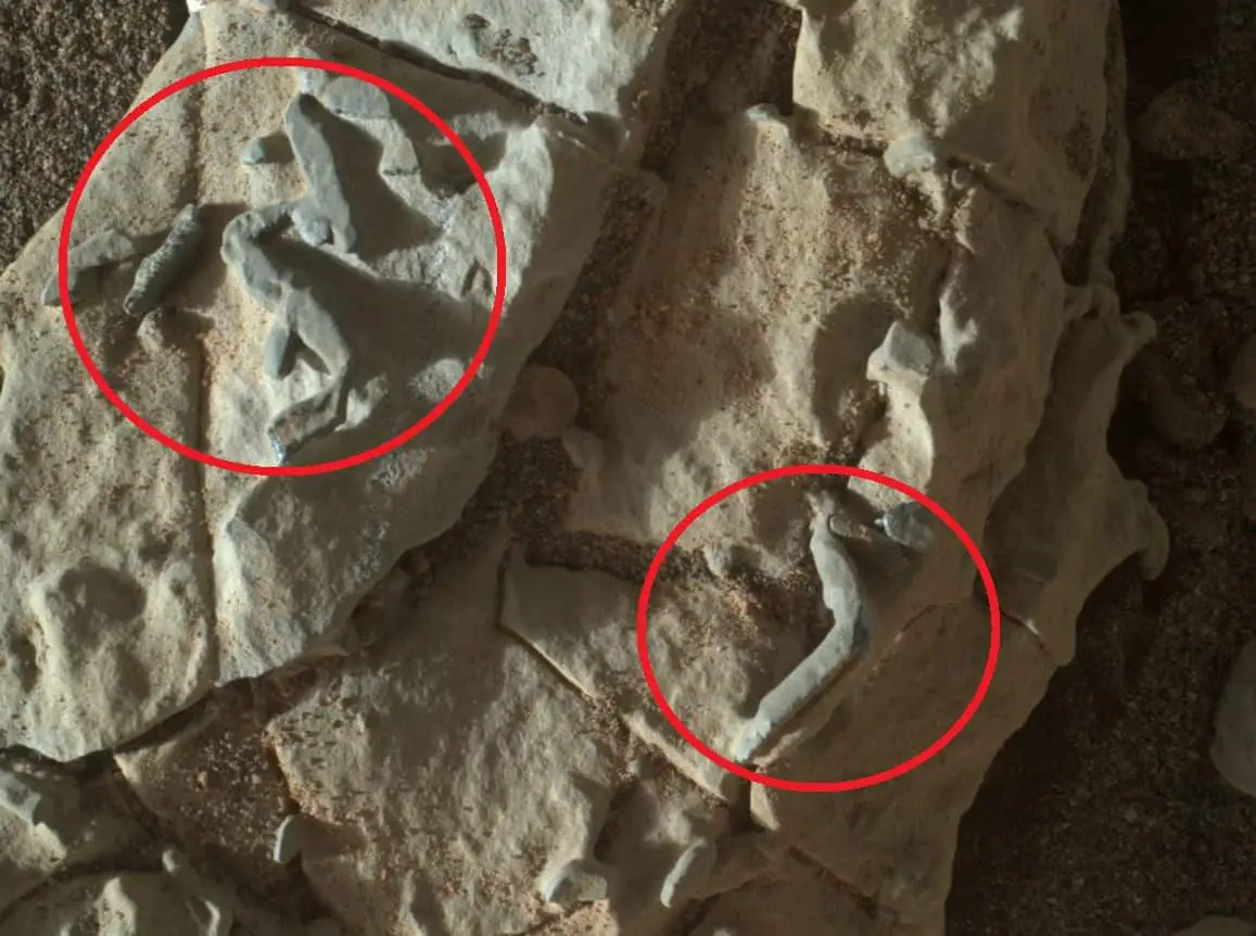 Risultati immagini per Has NASA just found traces of alien fossils on Mars
