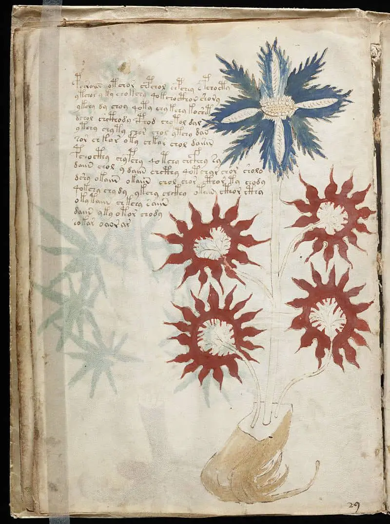 Voynich Manuscript 32