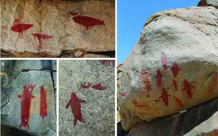 Researchers find ancient rock art with paintings of whales and sharks in the desert