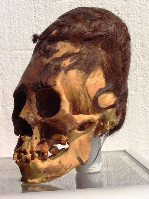 Paracas - DNA Results Show The Elongated Paracas Skulls Are Not Native American