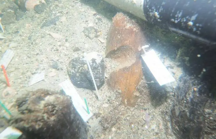 Unprecedented: 7,000-Year-Old Submerged Archaeological Site Found Off The Coast Of Florida