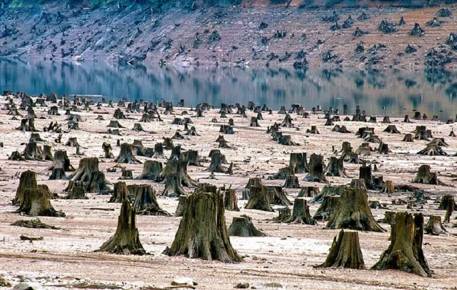 Deforestation - 30 Images That Prove The End Is Near