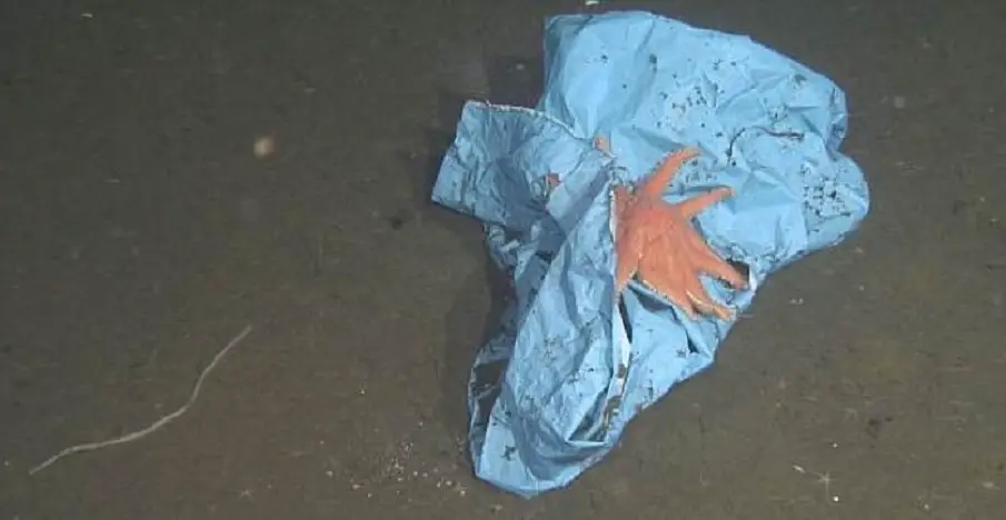 Plastic-Bag - 30 Images That Prove The End Is Near