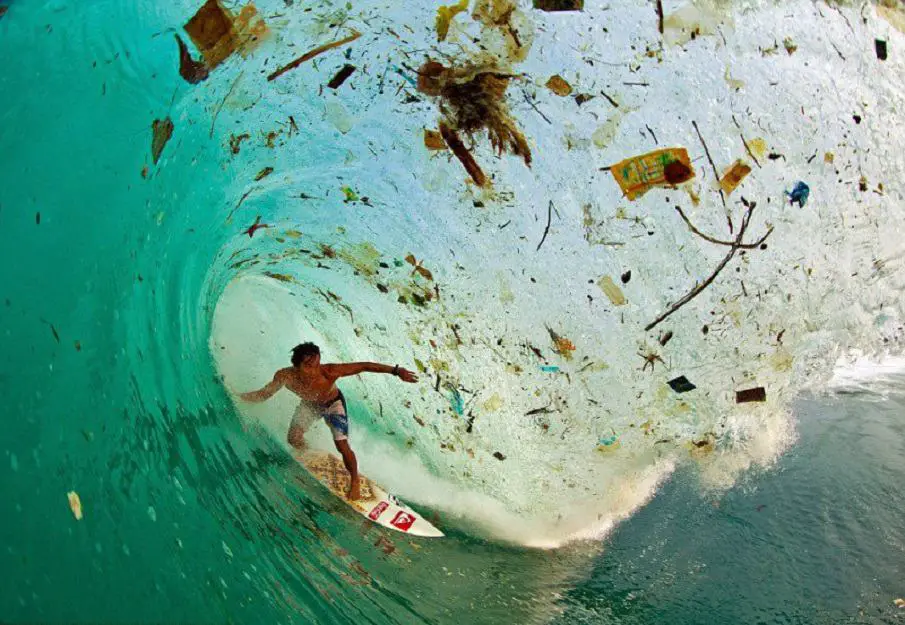 Surfing-in-garbage - 30 Images That Prove The End Is Near