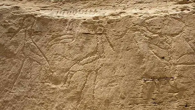 Egypt Rock Art 2