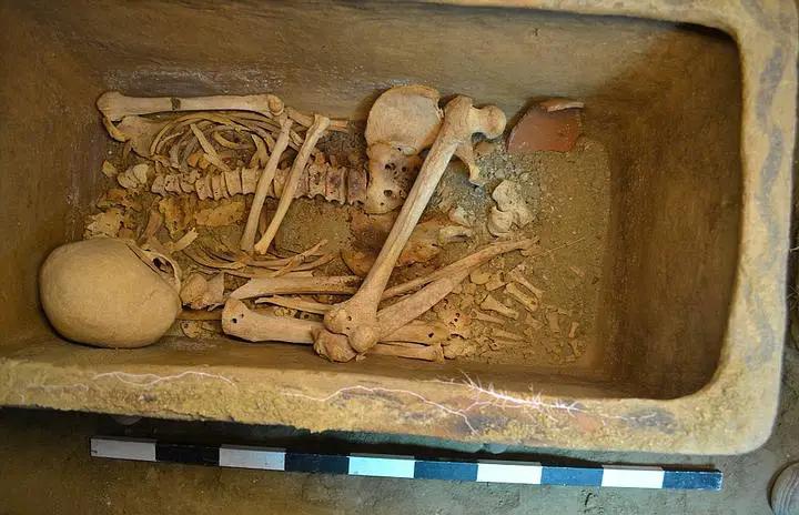Skeletal-Remains - Archaeologists Unearth A Tomb Dating Back To The Times Of The Minotaur
