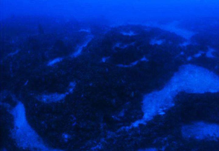 Mysterious discovery beneath the Bermuda Triangle.