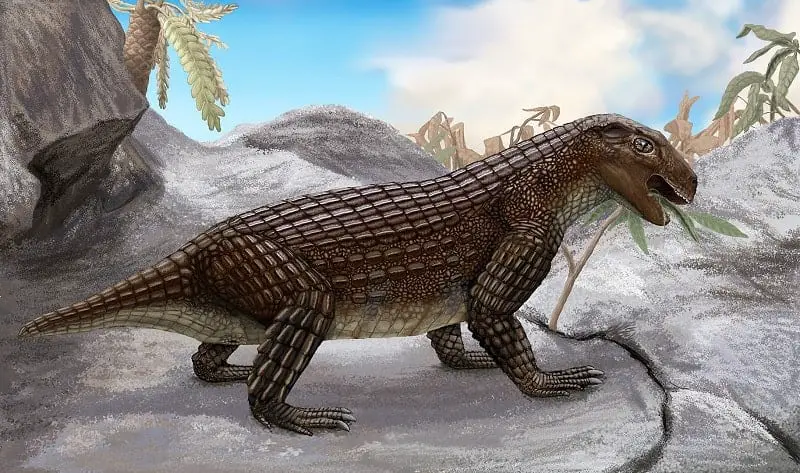 Simosuchus was a dog-sized crocodile