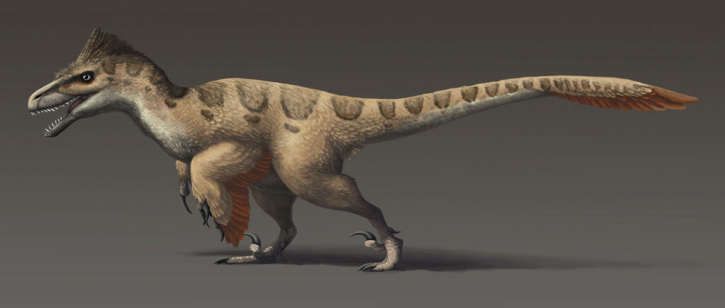 Utahraptor updated