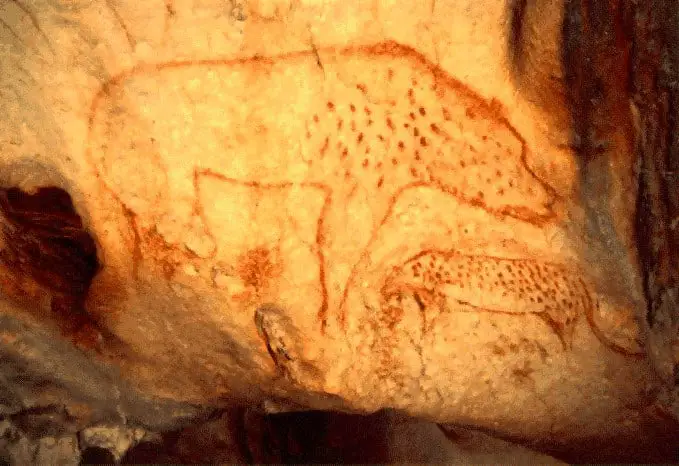20000 Year Old Cave Paintings Hyena