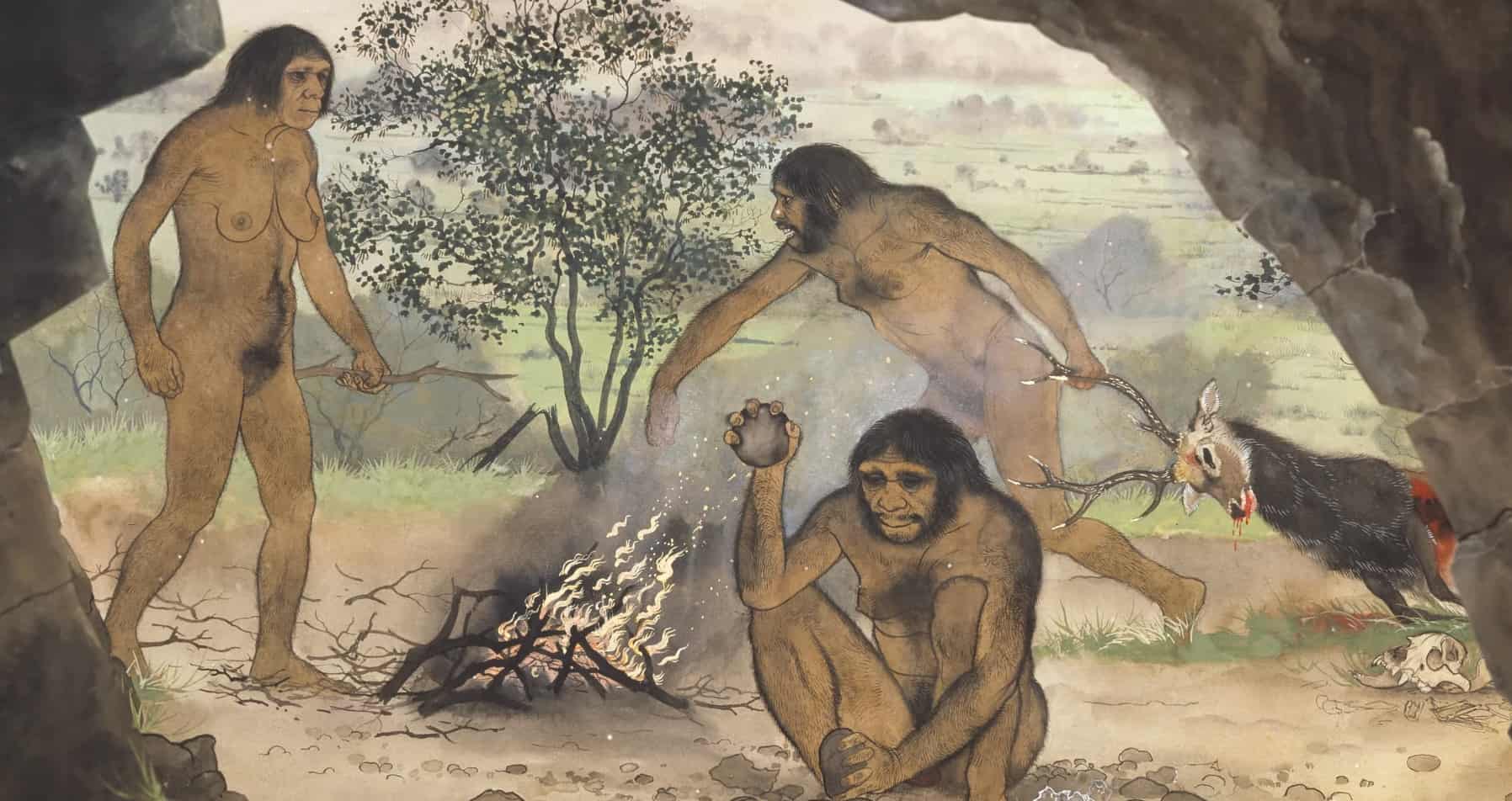 Screenshot- - New study suggests Homo sapiens were not the first to use fire