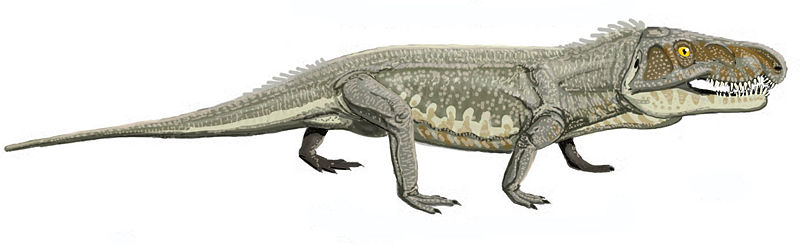 px-GarjainiaDB - Mass extinction saw an invasion of giant-headed Komodo Dragon-like Triassic predators