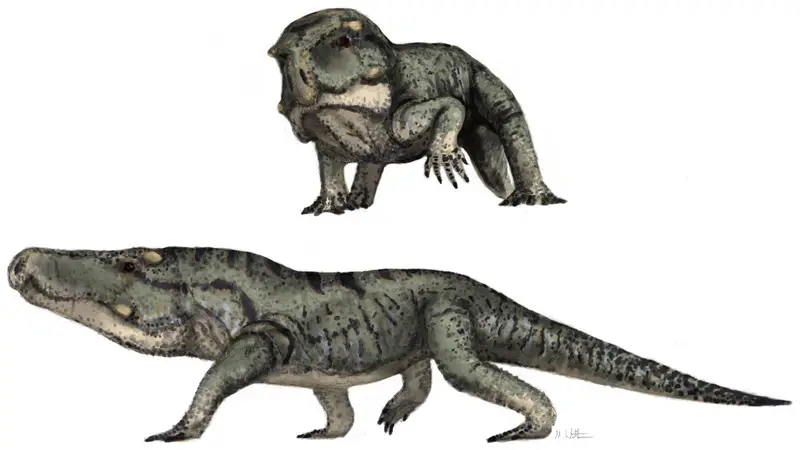 Garjainiamadiba - Mass extinction saw an invasion of giant-headed Komodo Dragon-like Triassic predators