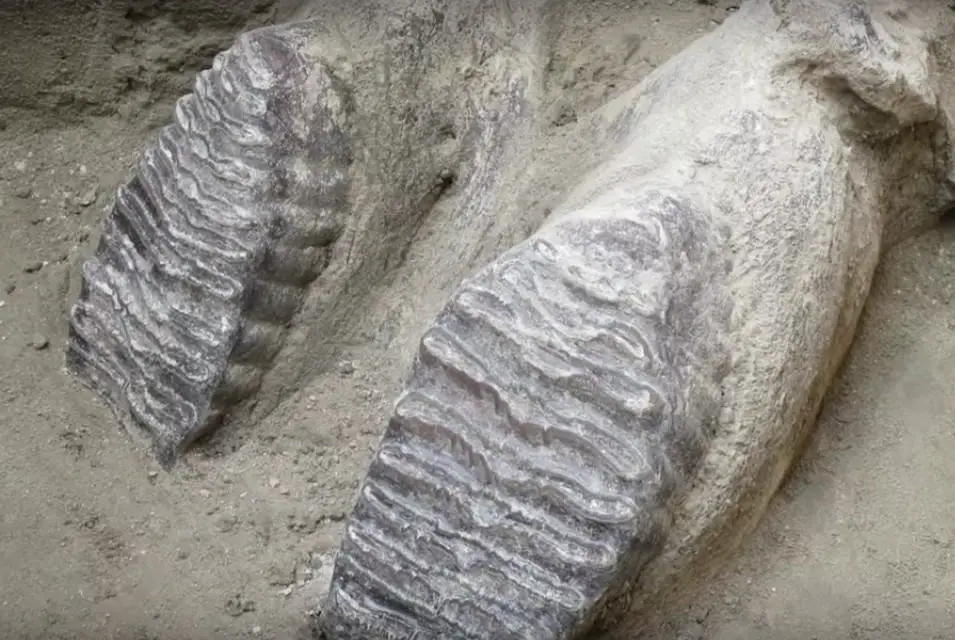 Screenshot----at-..-PM - Giant mammoth traps uncovered outside of Mexico City with multiple skeletons inside