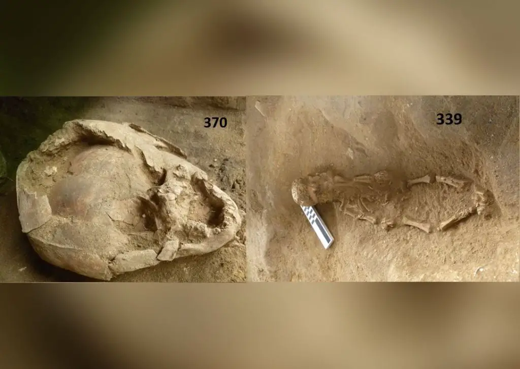 unbGJjXtysKYGsYQrH-- - Infants found buried in Ecuador were wearing ‘helmets’ made from other children’s skulls