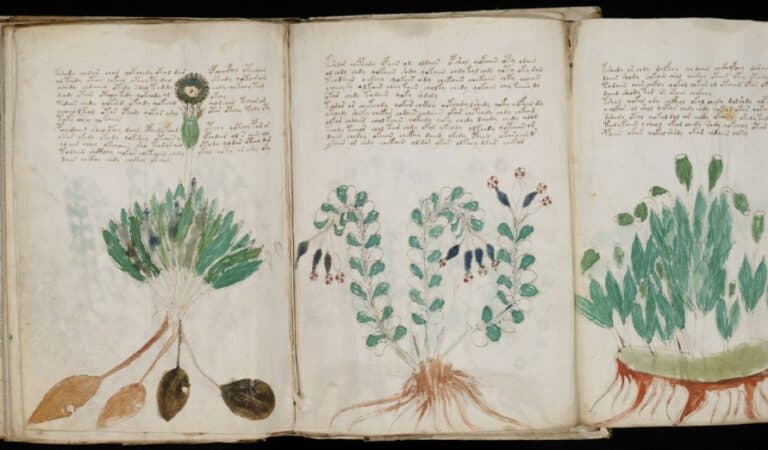 Has AI Cracked The Code In The ‘World’s Most Mysterious Book’ The Voynich Manuscript?