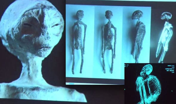 Nazca Alien mummy DNA results reveal ‘mummified remains are not human’
