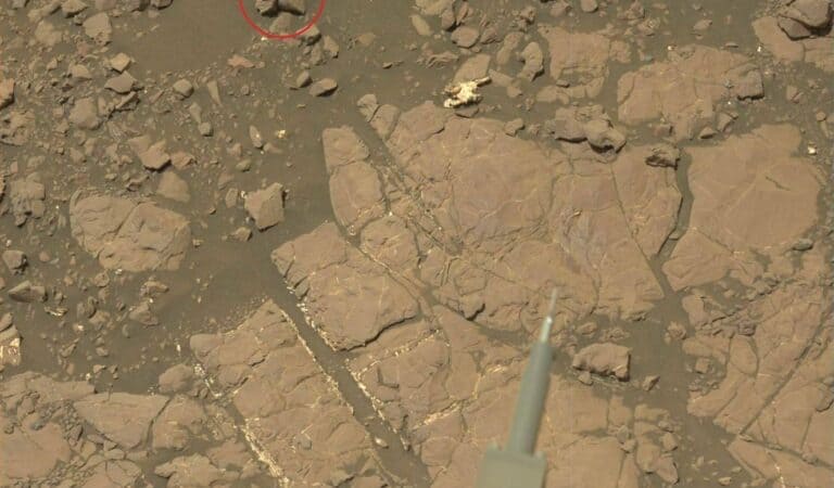 What’s An Ancient Egyptian-Like Statue Doing On The Surface Of Mars?