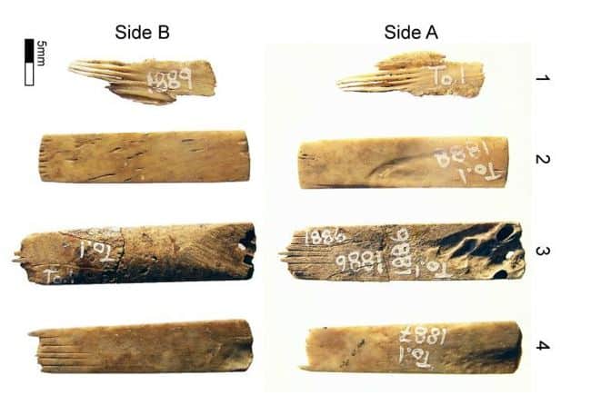 ‘World’s Oldest’ Tattooing Kit Dating Back 2,700 Years Contains Tools Made From Human Bones